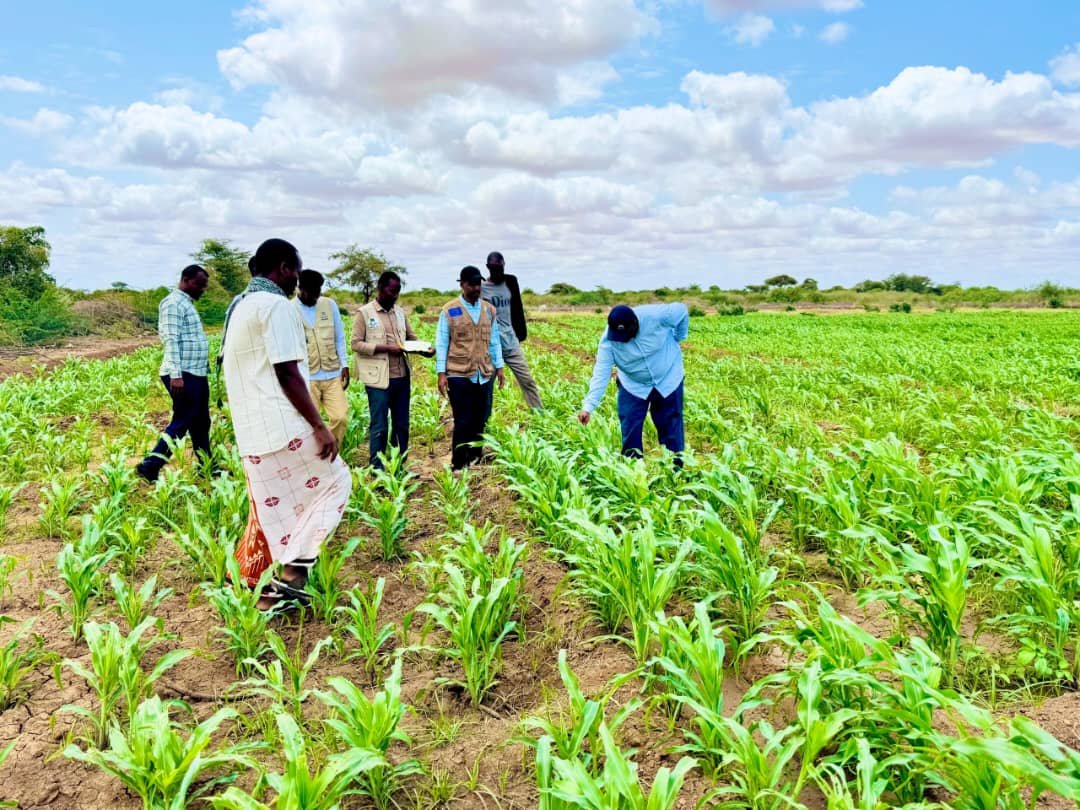 Home img 20251025 wa0063