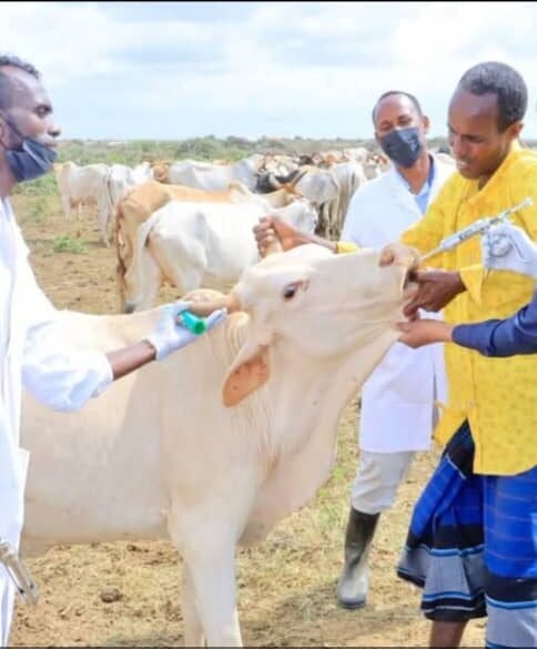 Home img 20251025 wa0087